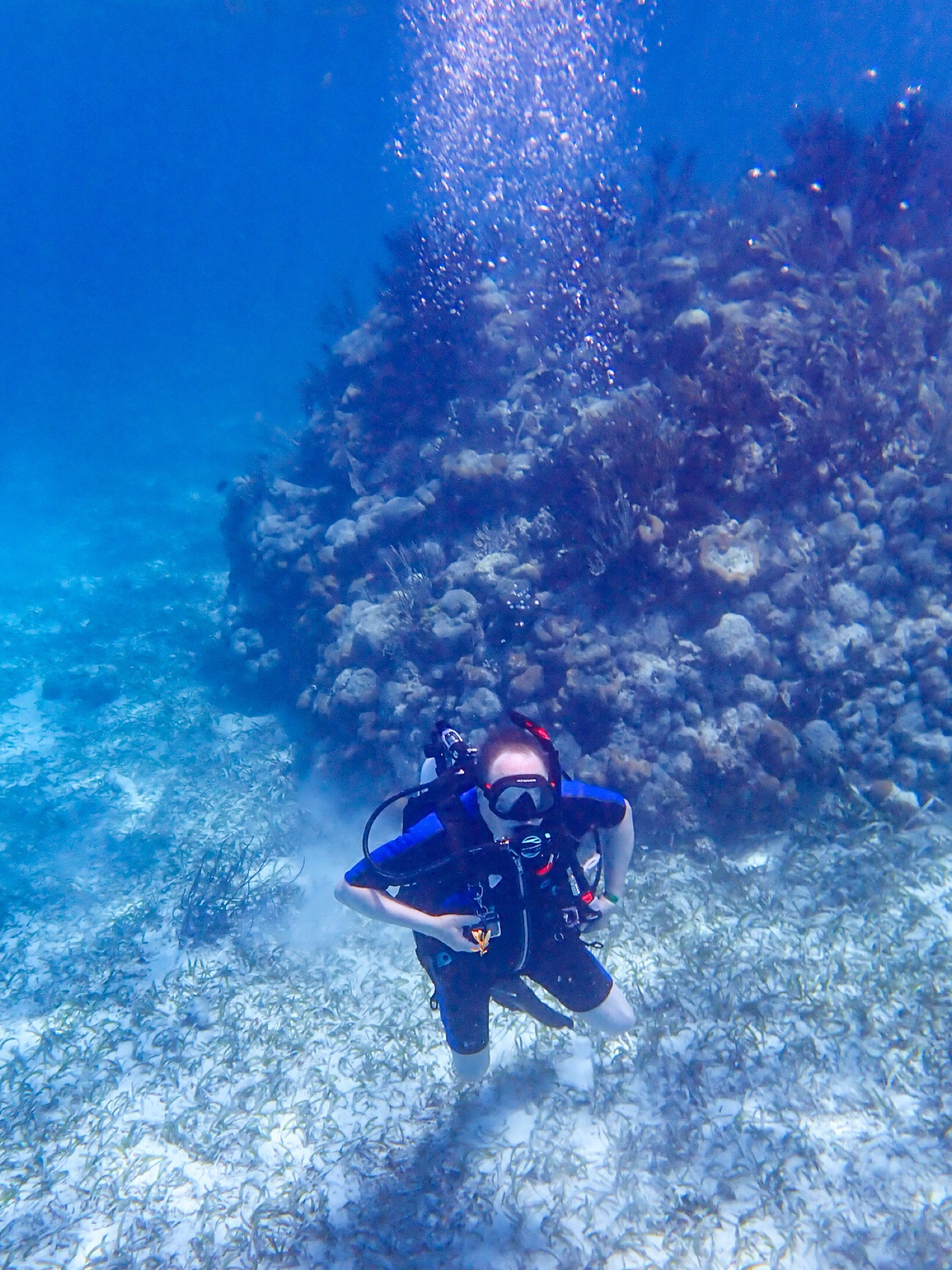 Ted scuba diving beside a coral reef