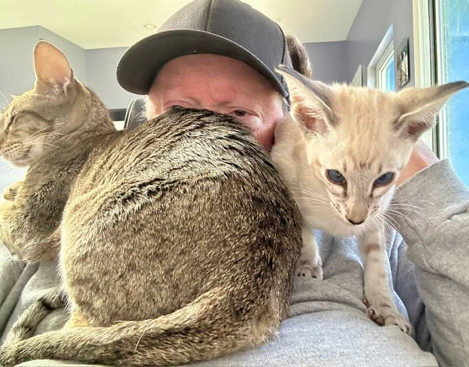Ted seated with Naiche and two adult Oriental Shorthairs